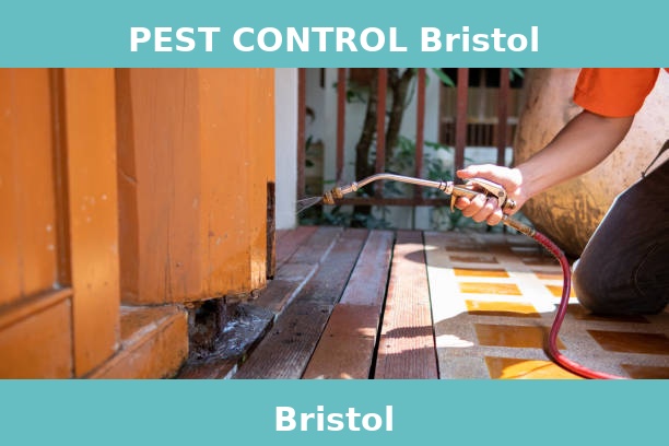 PEST CONTROL Bristol